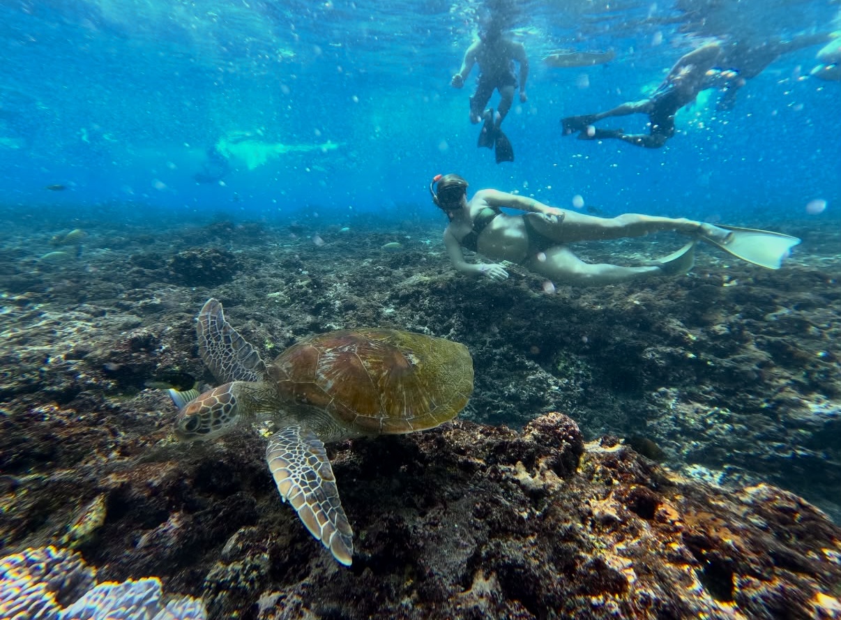 Students standing in shallow water on a beach