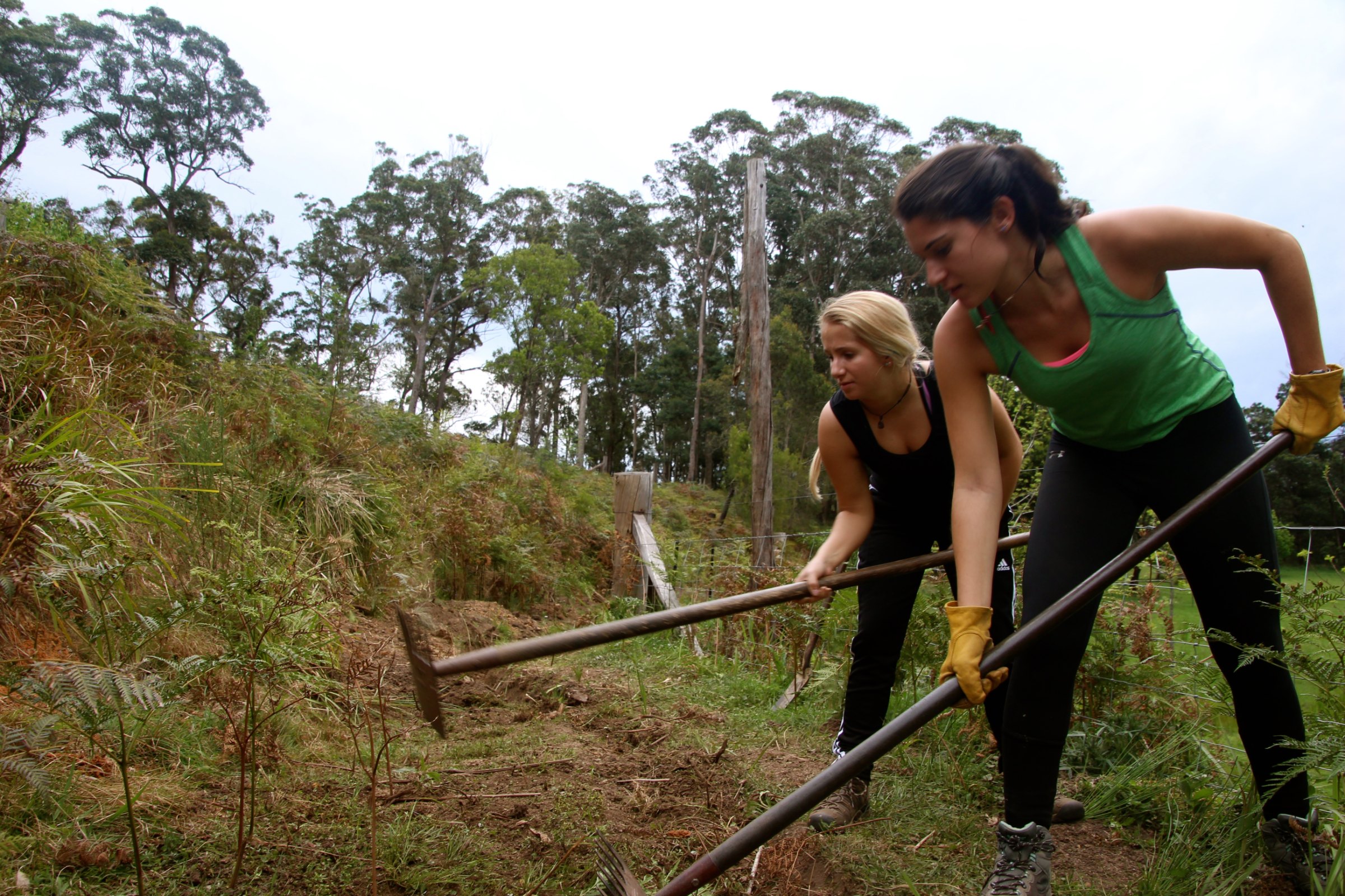Group with gardening gloves and tools