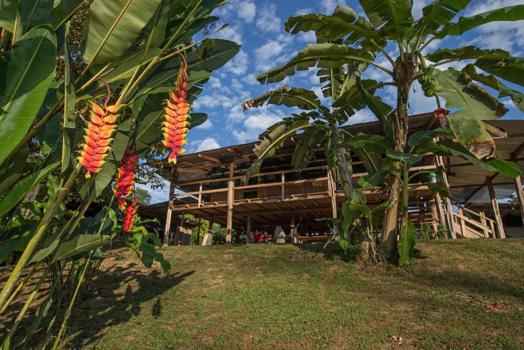 Eco lodge in Costa Rica