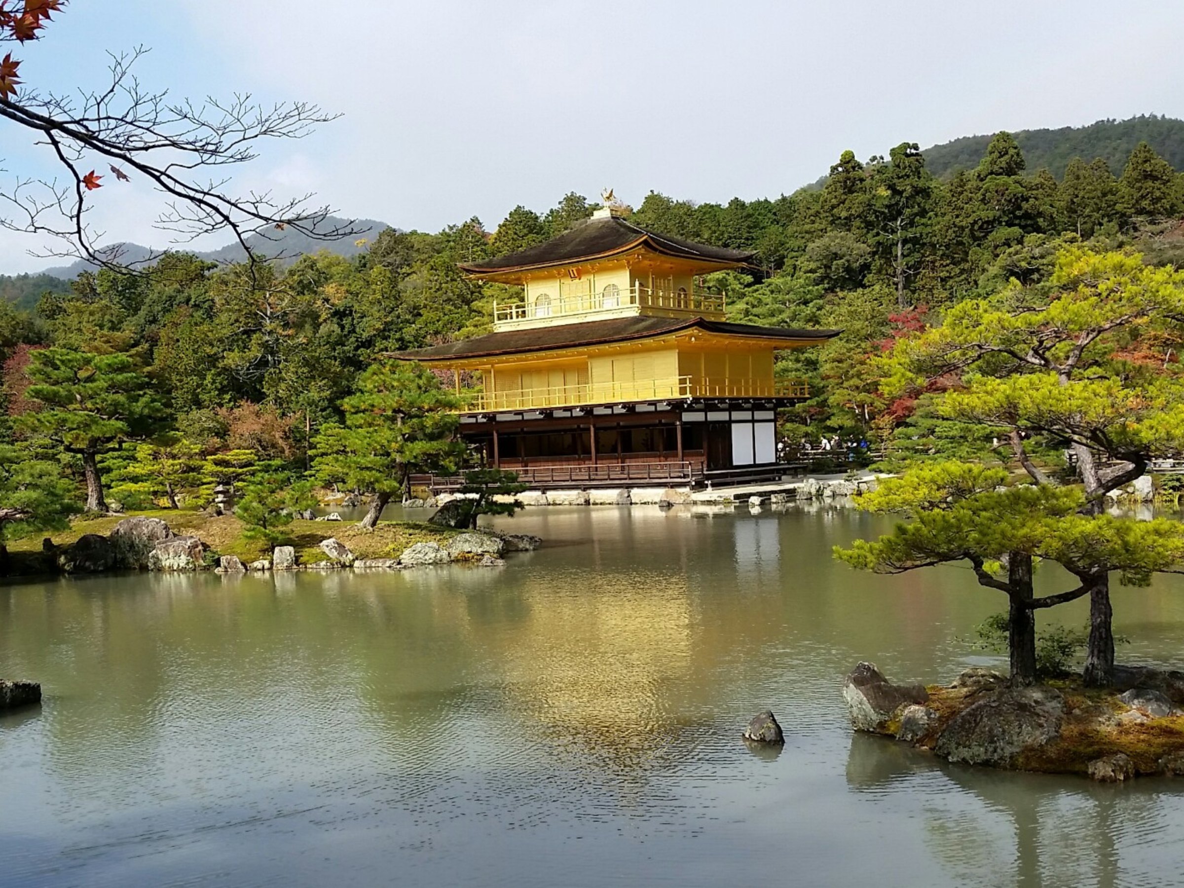 Golden pavilion reflected in a pond surrounded by pine trees