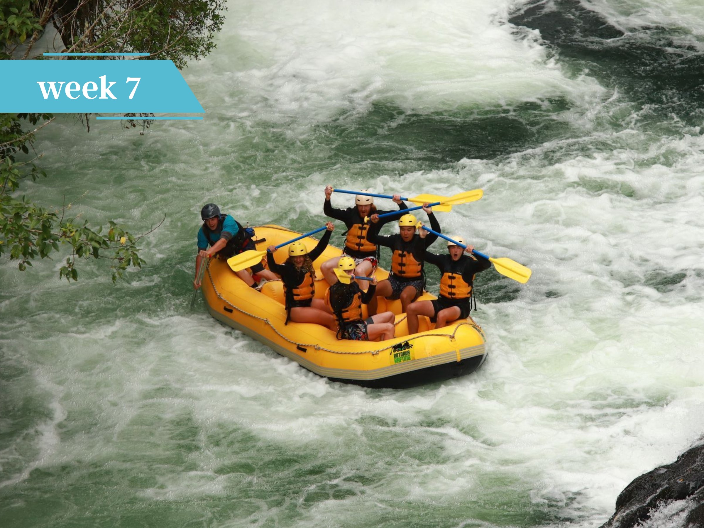 White water rafting in New Zealand