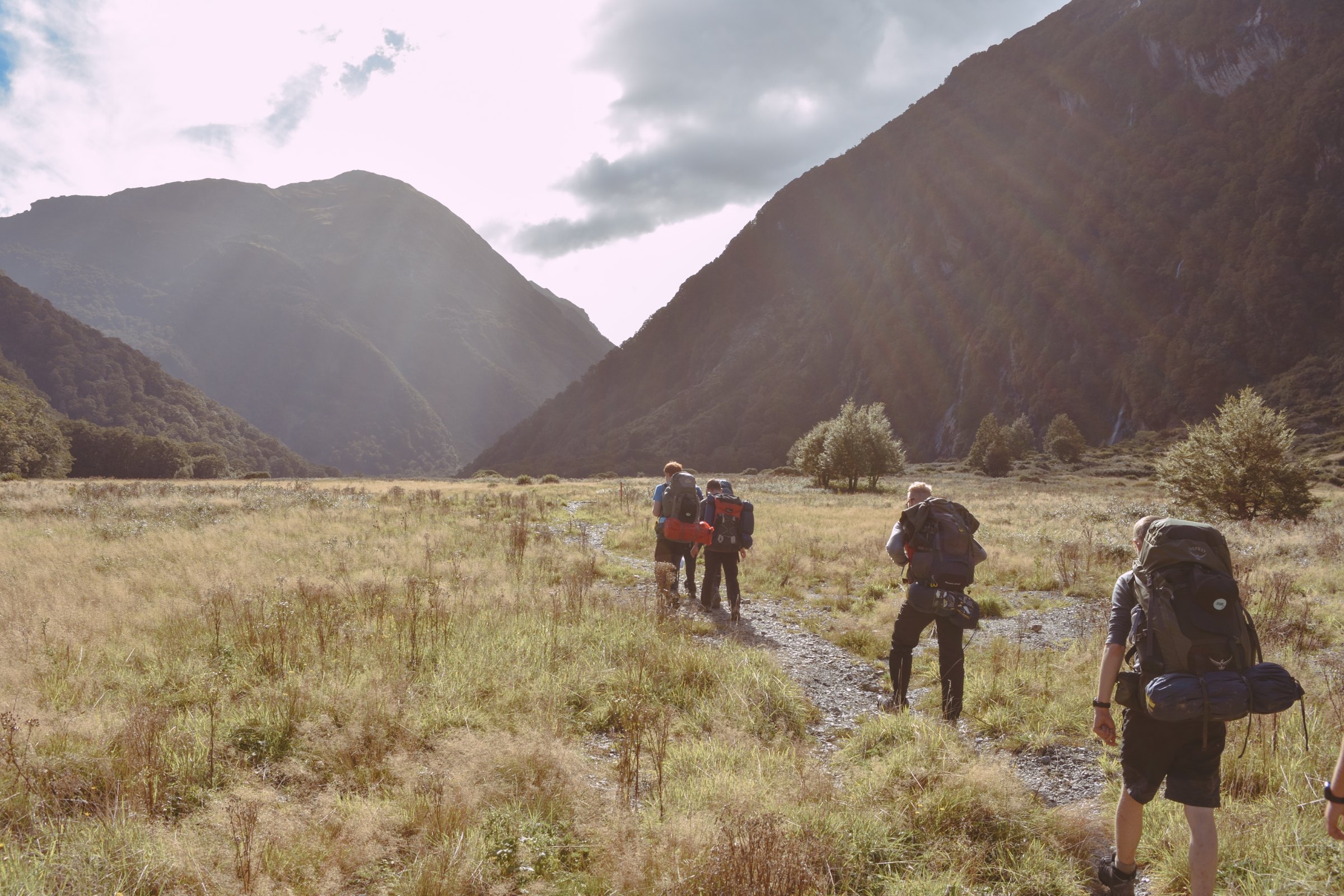 Group of hikers with backpacks walking toward snow-capped mountains