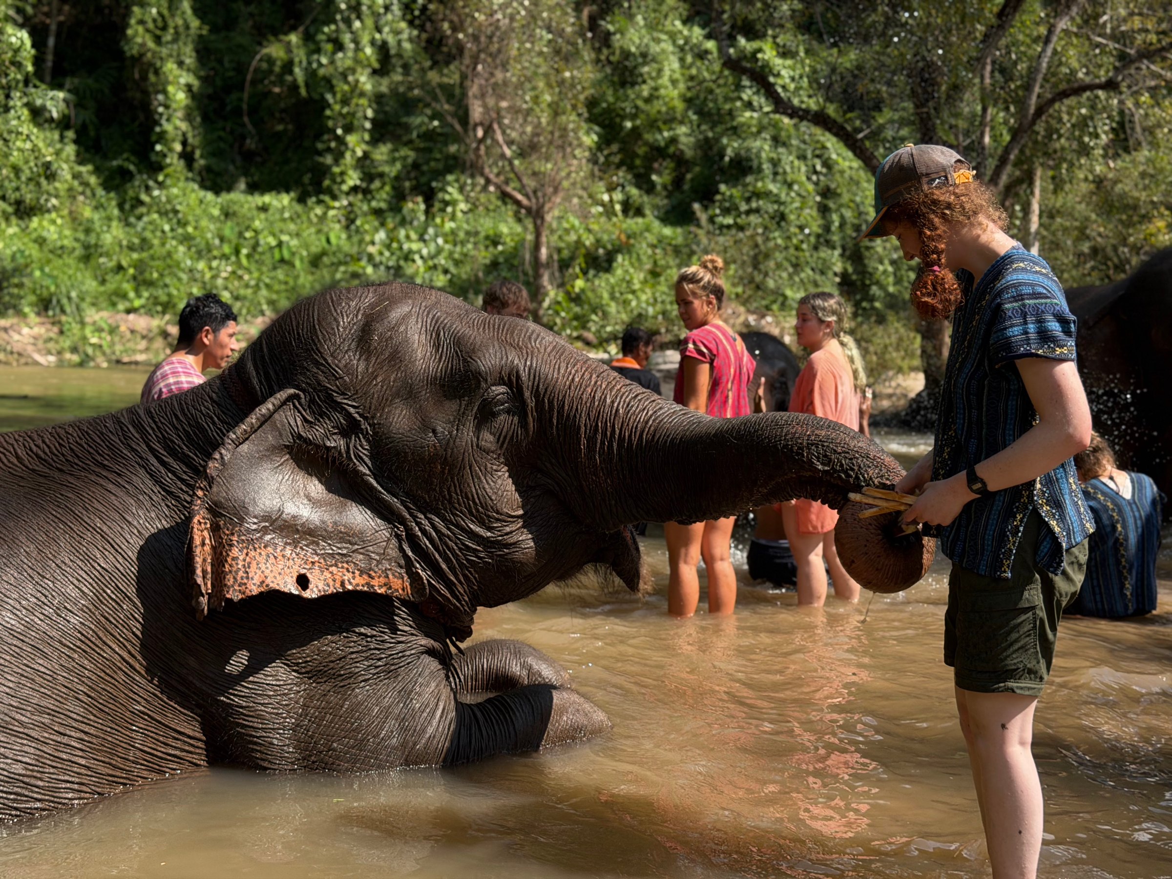 Students standing beside an elephant