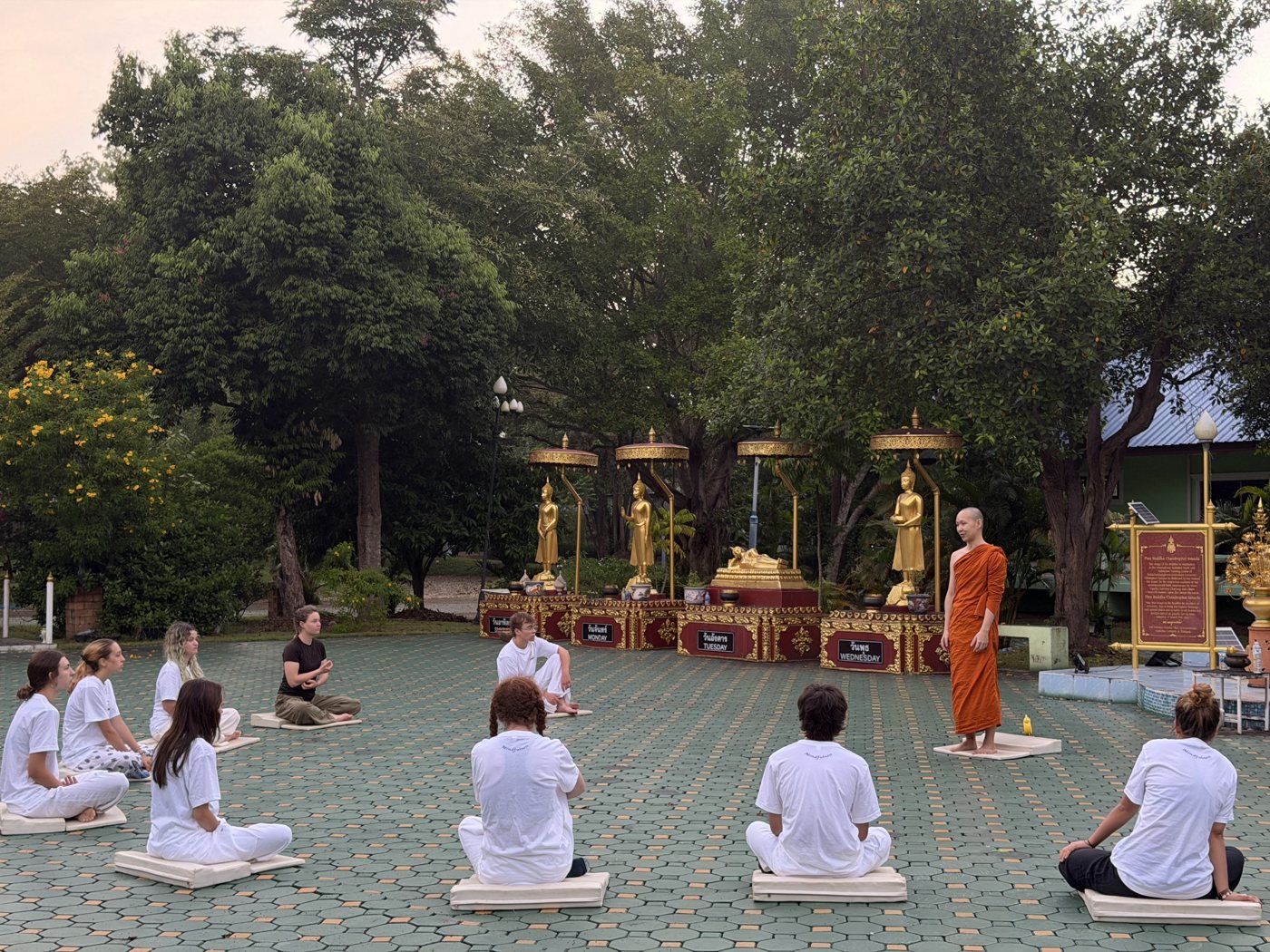 Meditation with monks at a temple