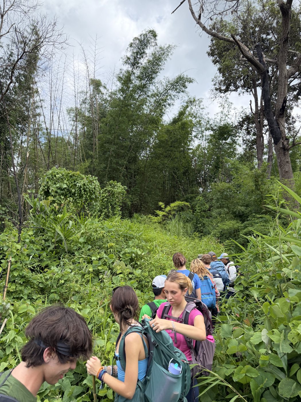 Students trekking single file through the jungle